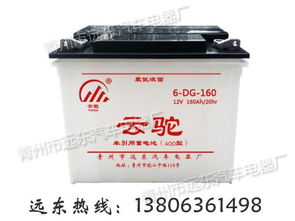 電動(dòng)三輪車蓄電池供應(yīng) 青州市遠(yuǎn)東汽車電器廠 電動(dòng)三輪車蓄電池 ,電動(dòng)三路車電瓶